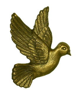 Foto van Bronzen duif