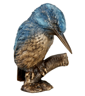 Foto van Bronzen ijsvogel