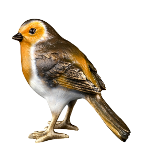 Foto van Fraai gekleurde bronzen vogel