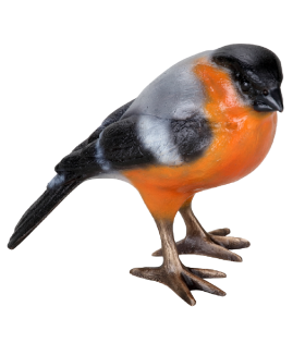 Foto van Mooi gekleurde bronzen vogel