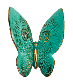 Foto van Groen gekleurde bronzen vlinder